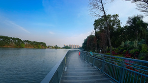 现代城市风光江河桥散步22秒视频