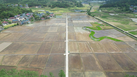 农业种植农田水田粮食水稻航拍视频