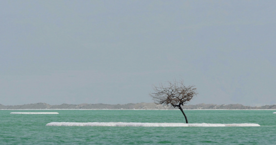 死海风光视频