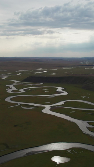 内蒙古莫日格勒河旅游景点61秒视频