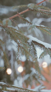 寒冬大雪纷飞积雪堆积在松树上霓虹灯视频