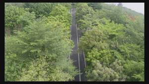 4k湛江吴川江心岛生态公园文化岛26秒视频