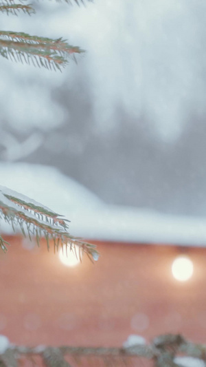 寒冬大雪纷飞积雪堆积在松树上霓虹灯12秒视频