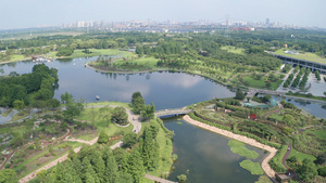 上海辰山植物园85秒视频