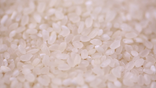 大米水稻米饭视频