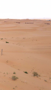 实拍宁夏沙坡头景区沙漠骆驼5A景区视频