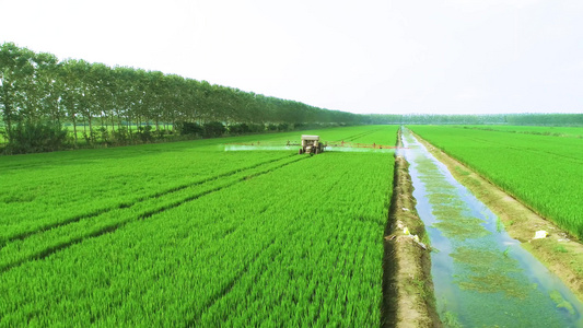 航拍大型农机在麦田植保和施肥视频