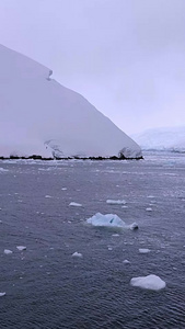 南极大陆冰雪消融全球变暖视频