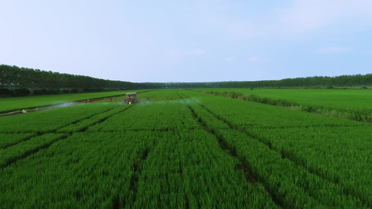 航拍大型农机在麦田植保和施肥视频