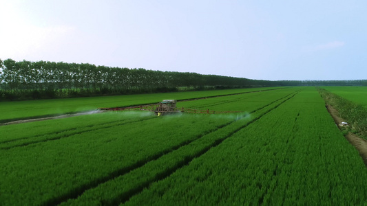 航拍大型农机在麦田植保和施肥视频