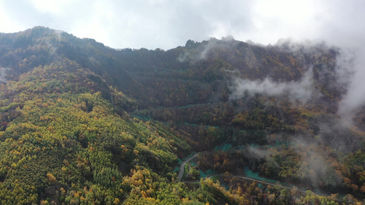 秋天 秋景 秋天云海 五彩斑斓秋天视频