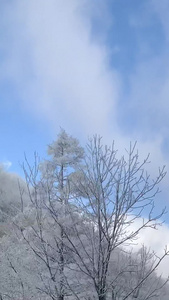 雪山公路第一视角竖版视频竖版本视频视频