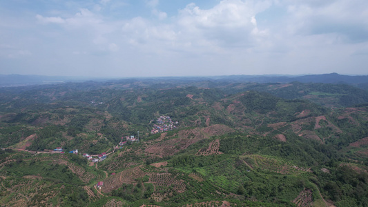 山川丘陵水果种植水果基地航拍视频