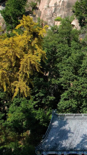 中国天津蓟县盘山风景区风光蓝天白云11秒视频