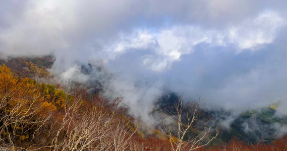 秋天 秋景 秋天云海 五彩斑斓秋天视频