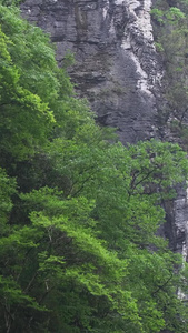 高清竖屏航拍湖北恩施鹤峰屏山大峡谷风景视频