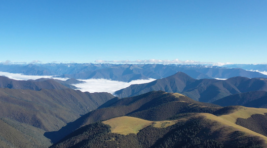 航拍川西自然风光山峰及云海视频