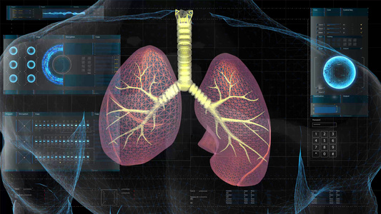 4K三维科技展示人体肺功能视频