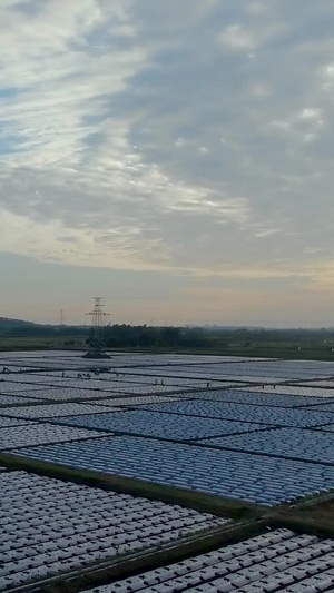 夕阳下大片现代农业种植航拍农村新面貌51秒视频