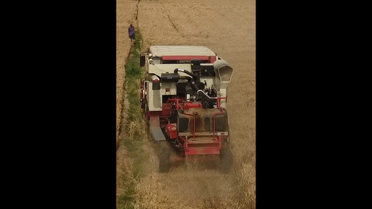 4K航拍收麦子实拍视频