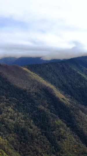 航拍川藏线山脉与盘山公路自然风光45秒视频