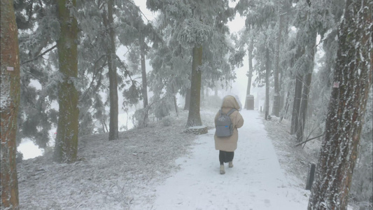 行走在庐山景区树林雪地里的女生视频