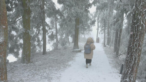 行走在庐山景区树林雪地里的女生10秒视频