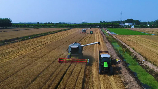 航拍大型收割机收割小麦 视频