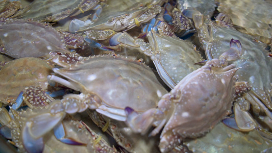 海鲜水产高速摄影视频