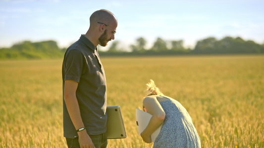 农业科研人员考察小麦田视频
