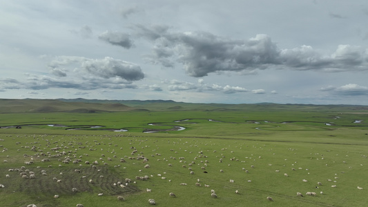 草原羊群河流天空云彩视频