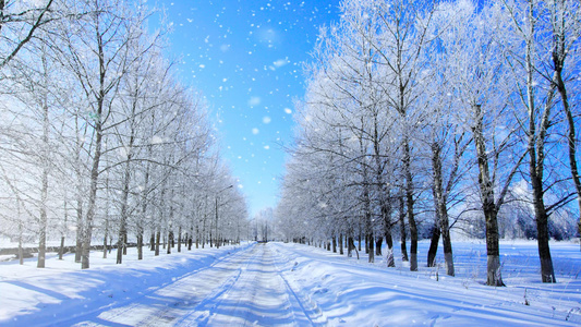 下雪雪花背景视频视频