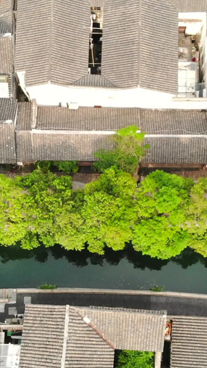 苏州平江路景点航拍小桥流水61秒视频