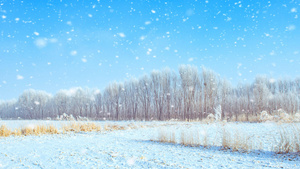 内蒙古冬季山村雪景视频素材10秒视频