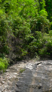 山林自然瀑布岩石合集含瀑布水声视频