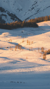 延时新疆冬季雪山日落日出金山日出日落视频