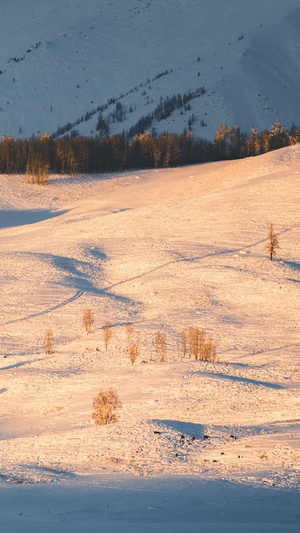 延时新疆冬季雪山日落日出金山艺术渲染6秒视频