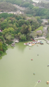 航拍惠州西湖泗州塔惠州西湖风景名胜区视频