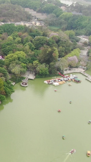 航拍惠州西湖泗州塔惠州西湖风景名胜区30秒视频