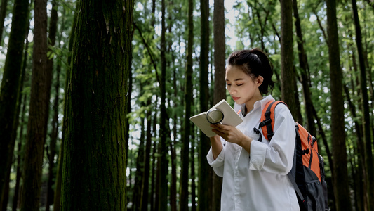 学者在丛林中观察前行视频