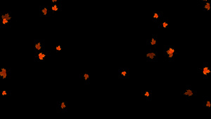 枫叶飘落元素带透明度通道17秒视频