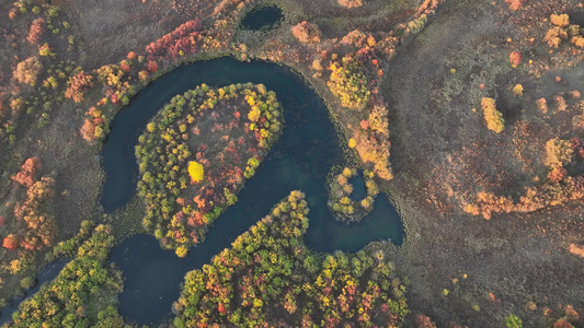 航拍亚洲第一湿地根河湿地秋景视频