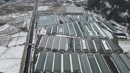 航拍大棚农业蔬菜种植基地雪景视频