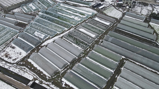 航拍大棚农业蔬菜种植基地雪景视频