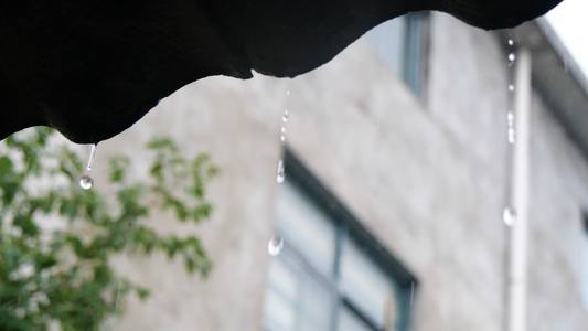 夏季大雨[春秋季]视频