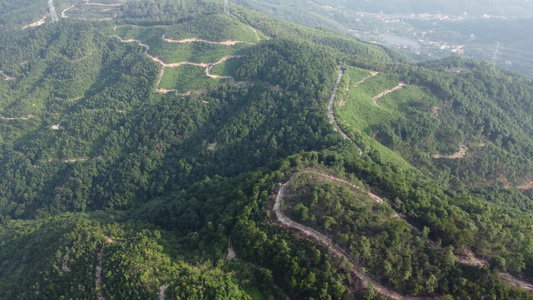 航拍高山森林林中小道视频