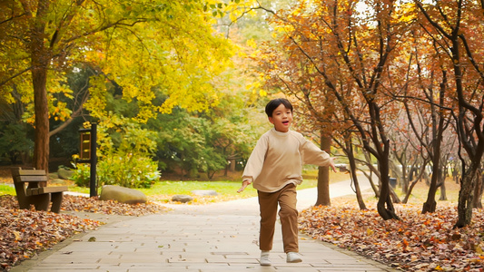 小男孩在秋天公园的步行道上奔跑升格视频视频