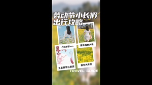 简约时尚五一假期出行攻略视频海报15秒视频