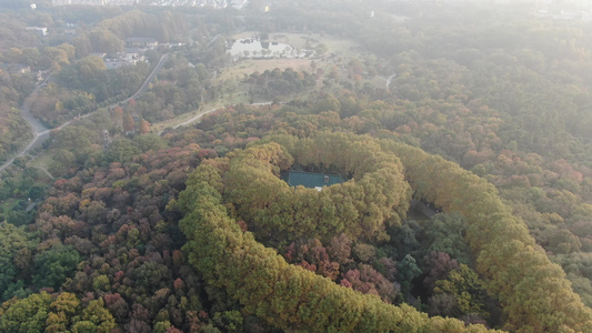 航拍南京中山陵5A景区美龄宫秋天视频