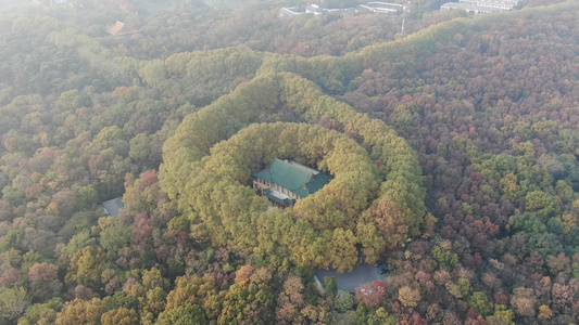 航拍南京中山陵5A景区美龄宫秋天视频